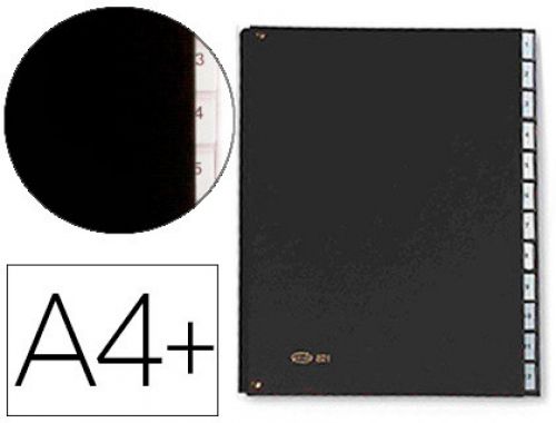 Pasta classificadora pardo com fole cartao compacto folio com 12 departamentos visor duplo personalizaveis cor preto , Pardo , 63099 , 8428143003214